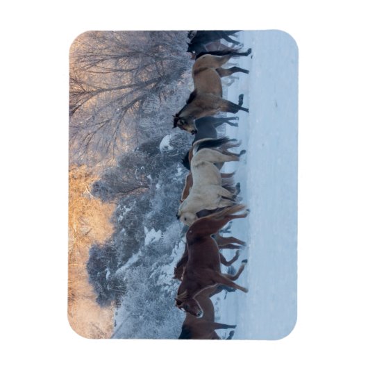 Paardrijden in de winter op Hideout Ranch Magneet (Verticaal)