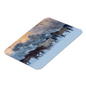 Paardrijden in de winter op Hideout Ranch Magneet (Linkerzijde)