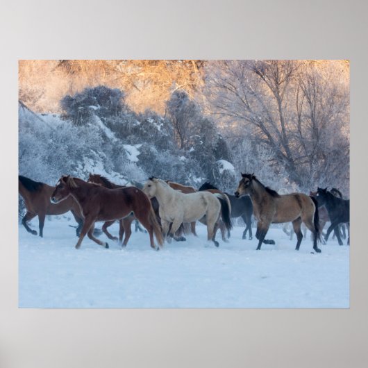 Paardrijden in de winter op Hideout Ranch Poster (Voorkant)