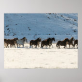 Paardrijden in de winter op Hideout Ranch Poster (Voorkant)