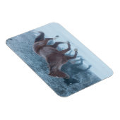 Paardrijden Magneet (Rechterzijde)