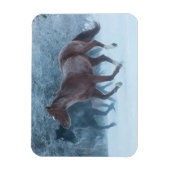 Paardrijden Magneet (Verticaal)