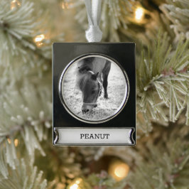 Paardrijden Paard Liefhebber FOTO NAAM Aandenken Verzilverd Banner Ornament