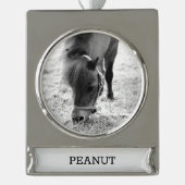 Paardrijden Paard Liefhebber FOTO NAAM Aandenken  Verzilverd Banner Ornament (Voorkant)