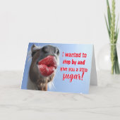 Paardrijden rond voor je verjaardag kaart (Voorkant)