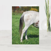 Paard's achterkant voor afscheid kaart (Voorkant)