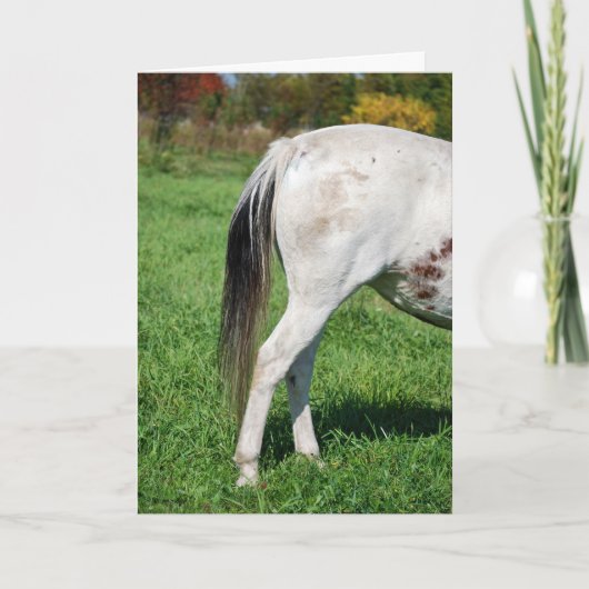 Paard's achterkant voor afscheid kaart (Voorkant)