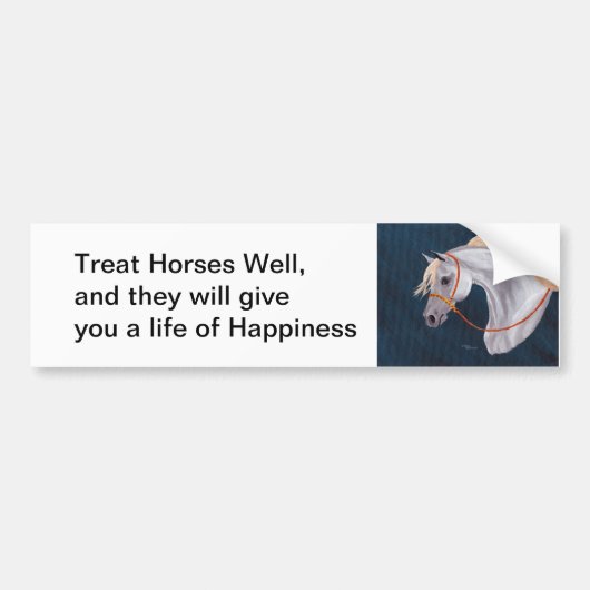 Paardse Bumpersticker van geluk (Voorkant)