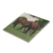 Paardse fotografie tegeltje (Zijkant)