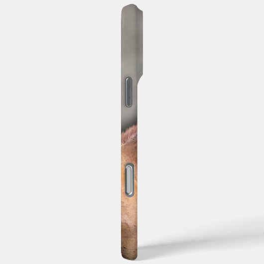 Paardse iPhone draagtas Case-Mate iPhone Case (Achterkant / Rechts)