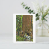 Paardse lading onder een reuzenroodbaars briefkaart (Staand voorkant)