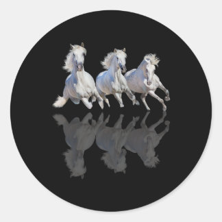 Paardse prachtige spiegelschimmel in galopende paa ronde sticker