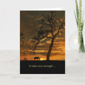 Paardse sympathie Paarden omlaag Kaart (Voorkant)