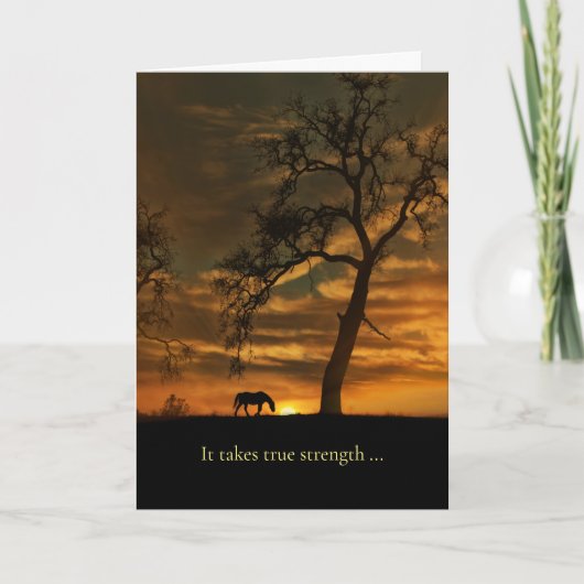 Paardse sympathie Paarden omlaag Kaart (Voorkant)