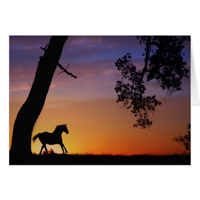 Paardse sympathiekaart Geest van het paard (Voorkant Horizontaal)