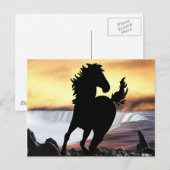 Paardsilhouet en waterval briefkaart (Voorkant / Achterkant)