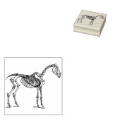 paardskeletzegel rubberstempel (Gestempeld)