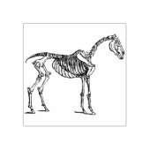 paardskeletzegel rubberstempel (Afrduk)