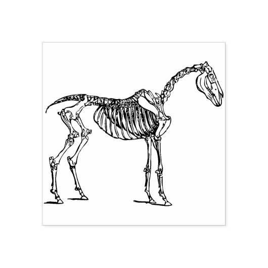 paardskeletzegel rubberstempel (Afrduk)