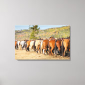 paardstippen canvas afdruk (Voorkant)