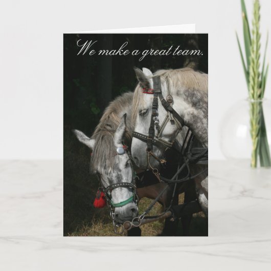Paardteam: "We maken een geweldig team" Kaart (Voorkant)