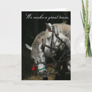 Paardteam: "We maken een geweldig team" Kaart
