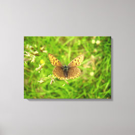 Paars afgedekte koper-botercanvas canvas afdruk