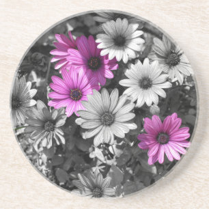 Paars-Afrikaanse Daisies Floral Onderzetter