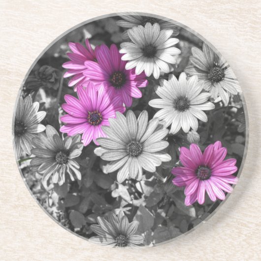 Paars-Afrikaanse Daisies Floral Onderzetter (Voorkant)