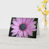 Paars-Afrikaanse Daisy Flower Art-kaart Kaart (Gele Bloem)