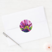 Paars-Afrikaanse Daisy waterverf Ronde Sticker (Envelop)