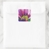 Paars-Afrikaanse Daisy waterverf Vierkante Sticker (Tas)