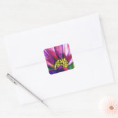 Paars-Afrikaanse Daisy waterverf Vierkante Sticker (Envelop)