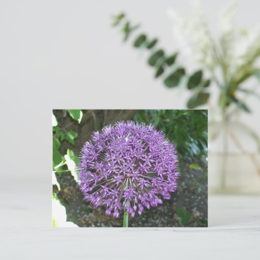 Paars Allium Briefkaart (Staand voorkant)