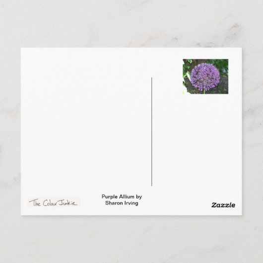 Paars Allium Briefkaart (Achterkant)