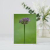 Paars Allium Flower Briefkaart (Staand voorkant)