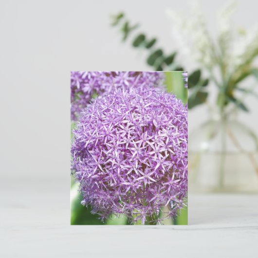Paars Allium Flowers Briefkaart (Staand voorkant)
