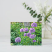 Paars Allium Flowers Briefkaart (Staand voorkant)