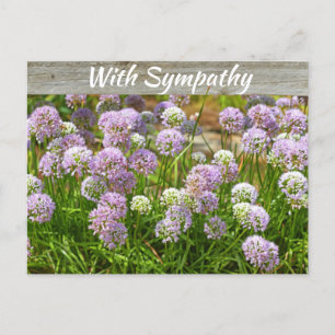 Paars Allium Garden Flowers Sympathie Briefkaart