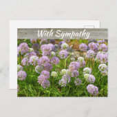  Paars Allium Garden Flowers Sympathie Briefkaart (Voorkant / Achterkant)