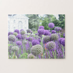 Paars Allium Garden Kew Gardens London Verenigd Ko Legpuzzel