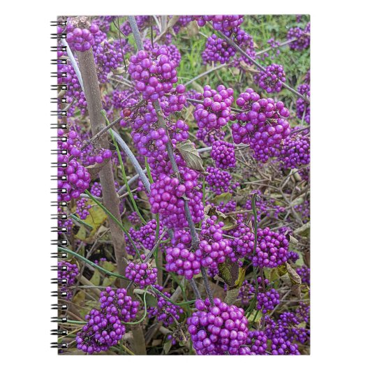 Paars-Amerikaanse Beautyberry Botanisch Notitieboek (Voorkant)