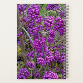 Paars-Amerikaanse Beautyberry Botanisch Notitieboek (Achterkant)