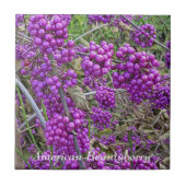 Paars-Amerikaanse Beautyberry Botanisch Tegeltje (Voorkant)