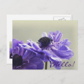 Paars Anemone Foto Briefkaart (Voorkant / Achterkant)