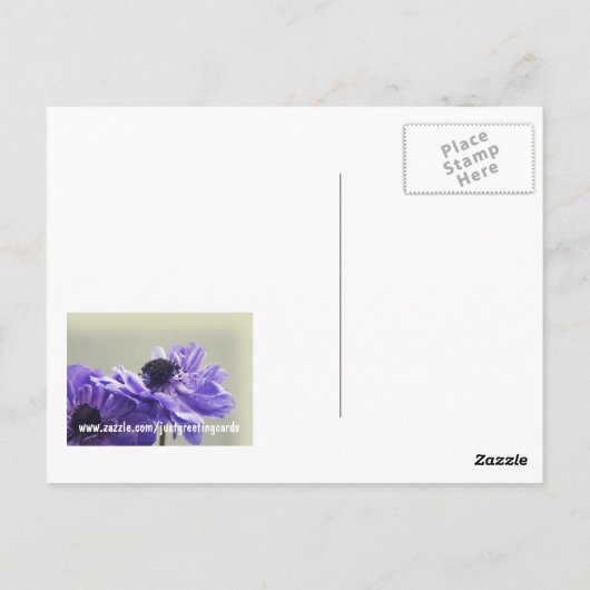 Paars Anemone Foto Briefkaart (Achterkant)