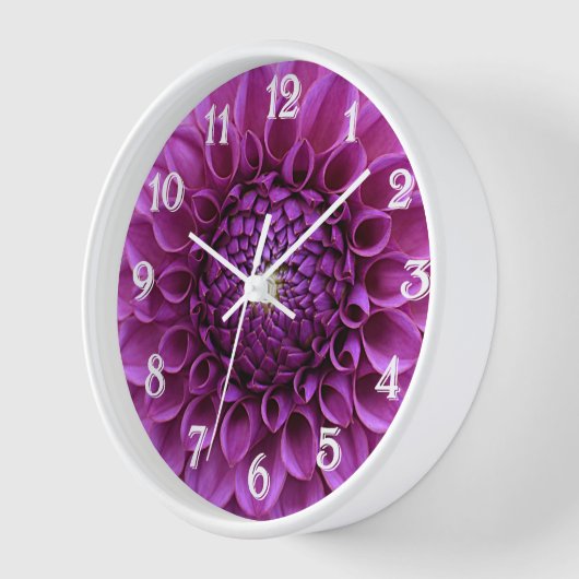 Paars Ball Dahlia Floral (Hoek)