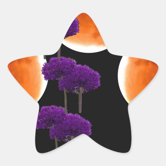 Paars binnendringen ster sticker (Voorkant)