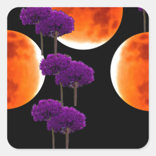 Paars binnendringen vierkante sticker