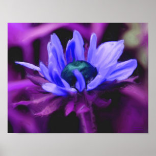 Paars Black Eyed Susan Flower Photo Painting Poster